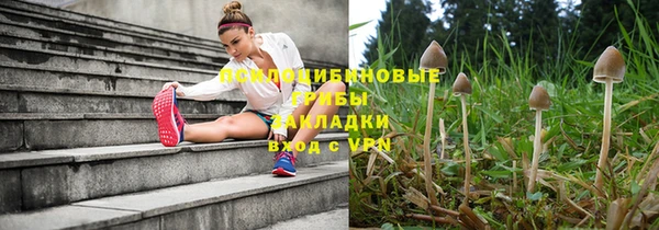 спиды Магадан
