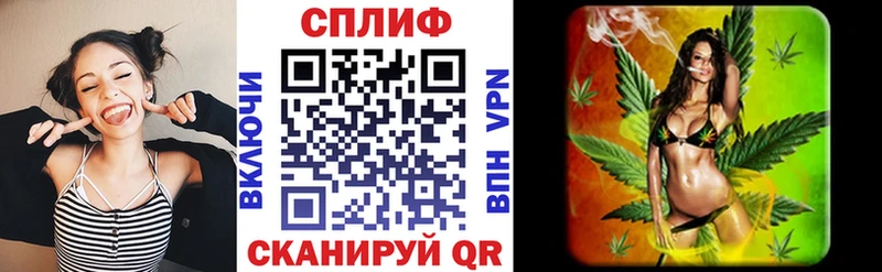 дарнет шоп Ужур Бошки Шишки тримм